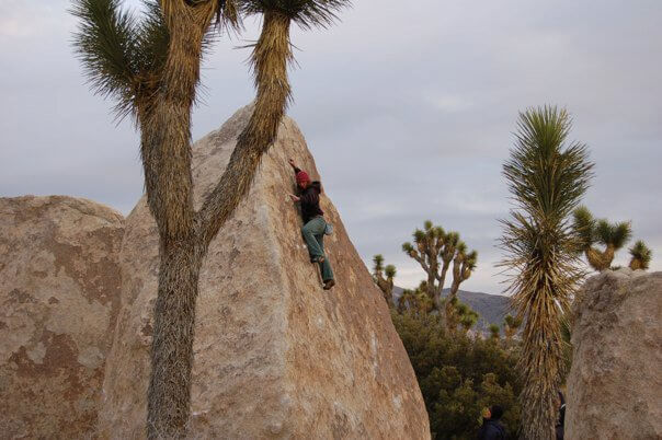 https://www.flashed.com/wp-content/uploads/2022/04/Joshua-Tree-Slab.jpg