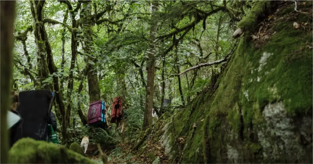 https://www.flashed.com/wp-content/uploads/2025/05/squamishbouldering-1024x536.webp