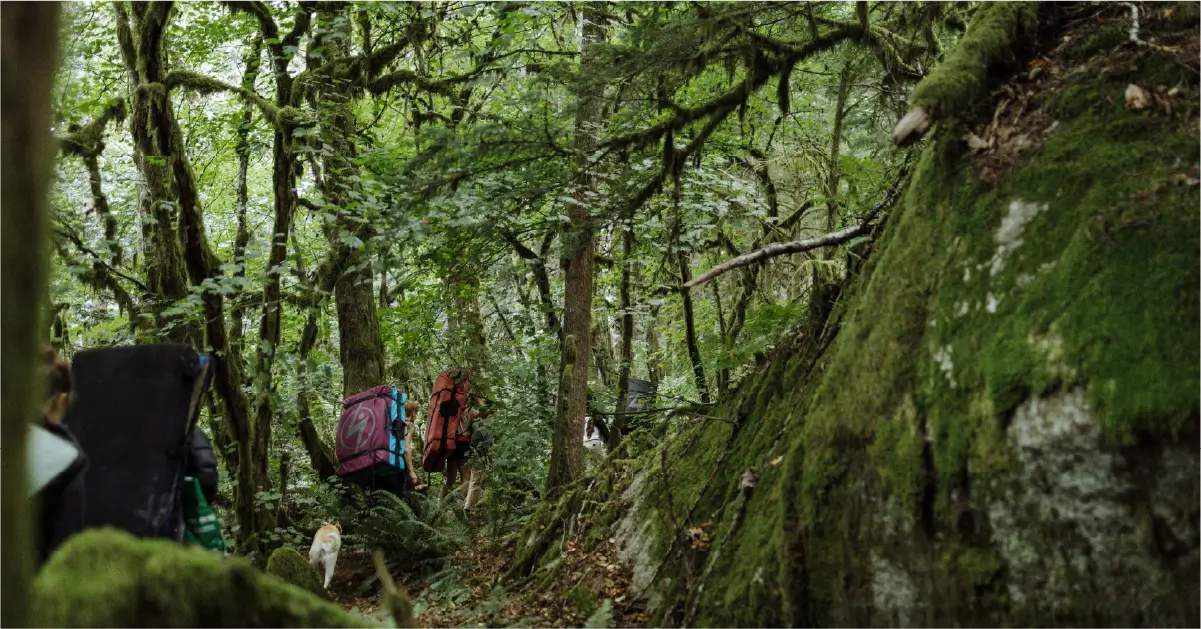 https://www.flashed.com/wp-content/uploads/2025/05/squamishbouldering.webp