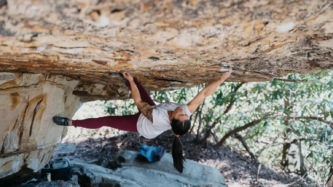 https://www.flashed.com/wp-content/uploads/2025/07/MidoriClimbing.webp